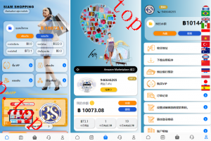 亲测新款源码全新多语言 运营版海外刷单系统 抢单刷单 泰国刷单源码 UI